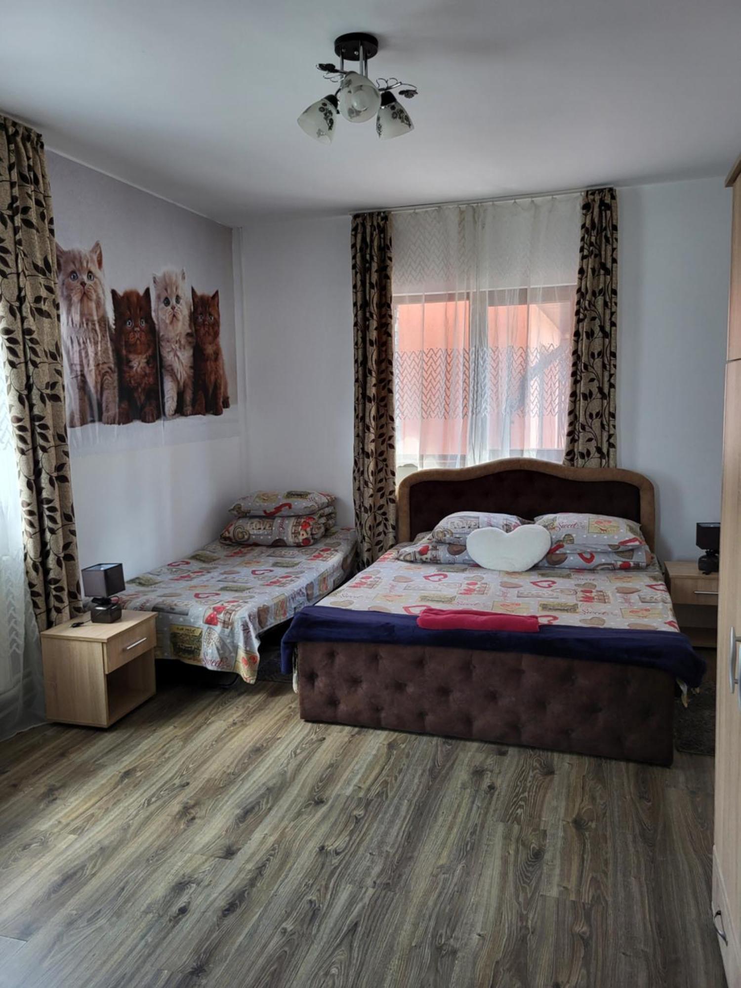 فيلا Casa Raraului Câmpulung Moldovenesc المظهر الخارجي الصورة
